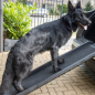 Preview: Premium Hundeleiter - Kunststoff - Blau - Bis 90 KG